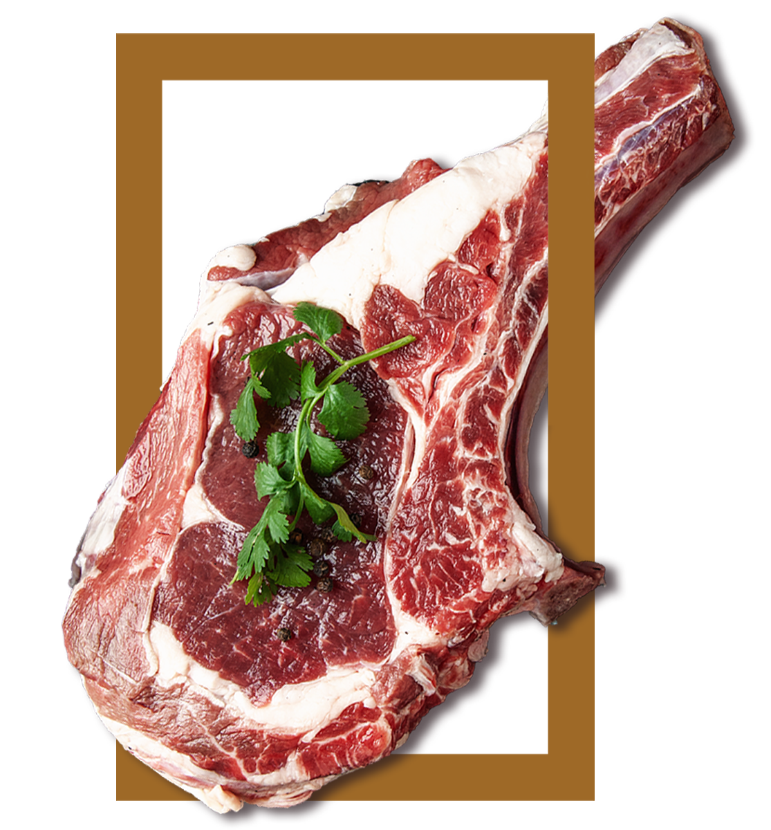 chuleton_rectangulo
