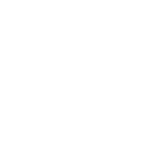 Asador para Eventos